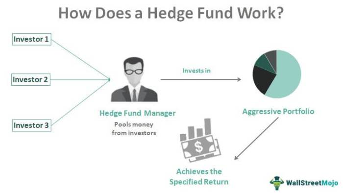 Hedge fund explanation simple