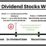 Dividend stocks work date invest dividends ex record following them high company options between depth guide understand hopefully infographic created