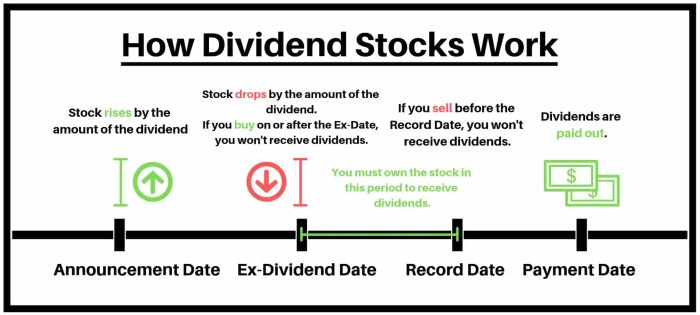 Dividend stocks work date invest dividends ex record following them high company options between depth guide understand hopefully infographic created