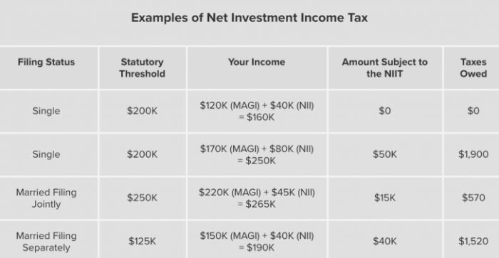 Income investment tax examples adjustments